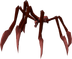 Sarachnis